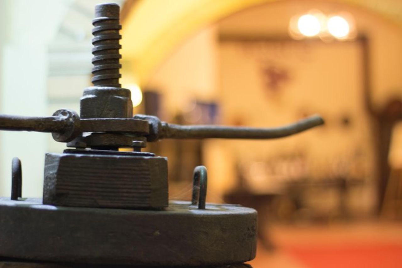 Cantine Bosco Nestore - Wine tour e Degustazione — 7