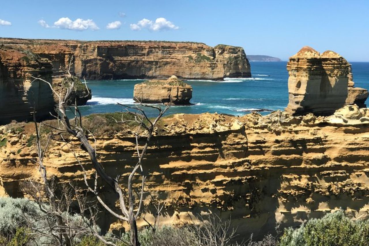 Tour boutique in itinerario inverso di Great Ocean Road - Max 12 ospiti — 6
