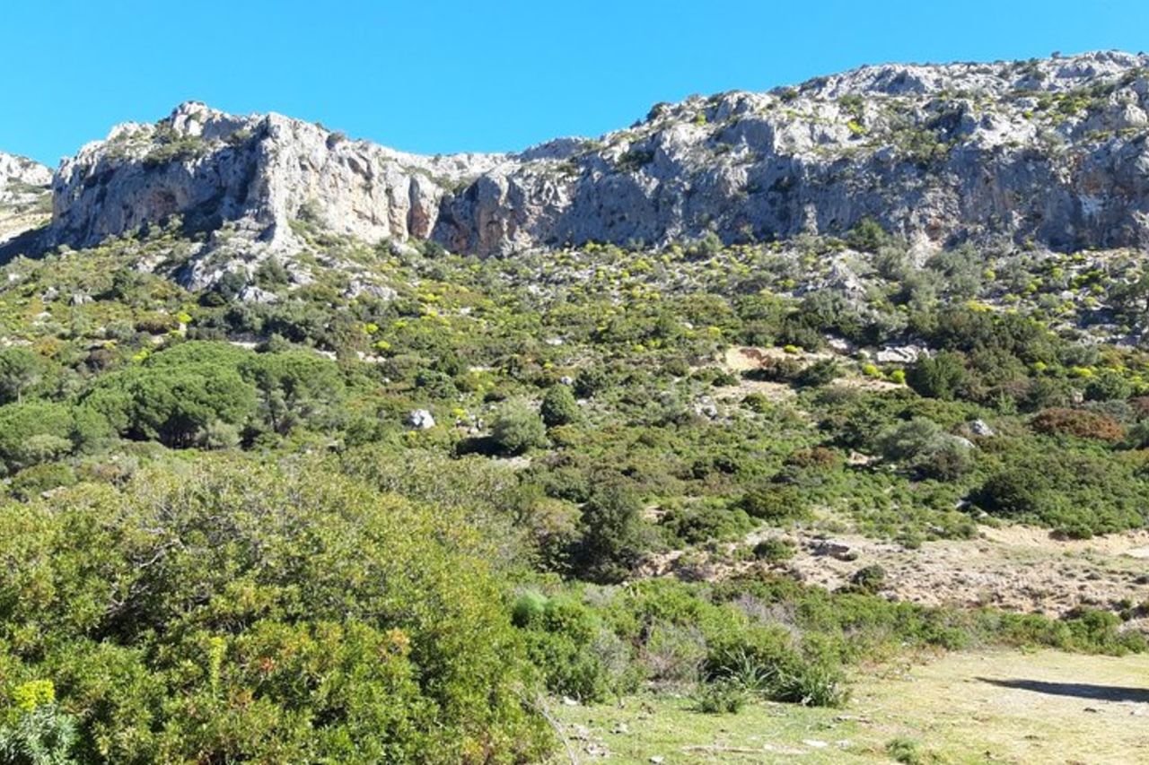 Escursione a piedi con vista sul Golfo di Arbatax — 5