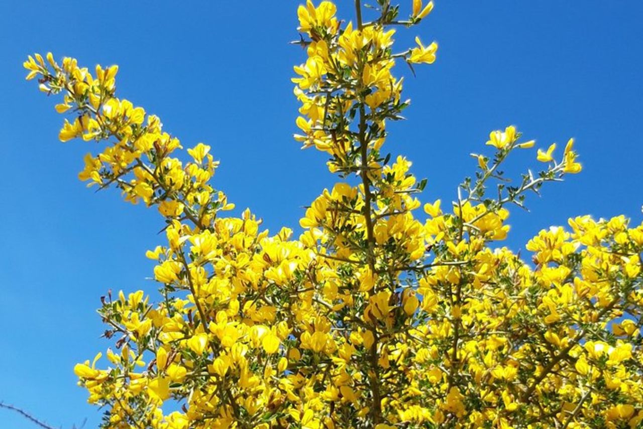 Escursione a piedi con vista sul Golfo di Arbatax — 3