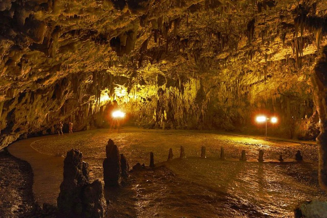 Tour in autobus dell'isola di Cefalonia: degustazione di vini, Melissani e Fiscardo — 6