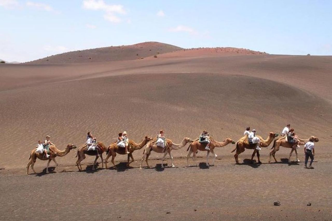 Tour di un'intera giornata a Timanfaya, Laguna Verde e La Geria