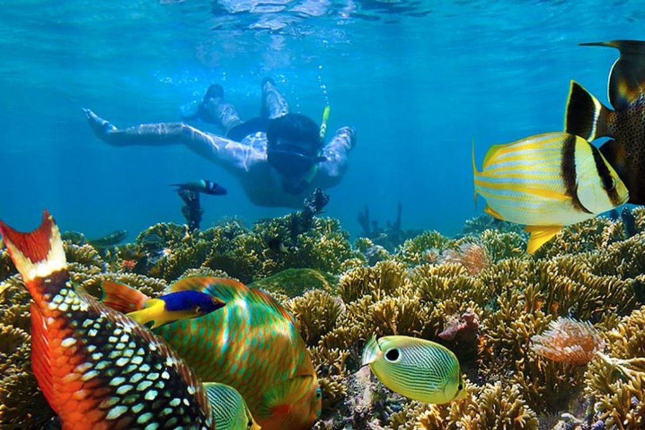 Avventura di un'intera giornata : esperienza in 4x4, crociera snorkeling, squali e razze — 6