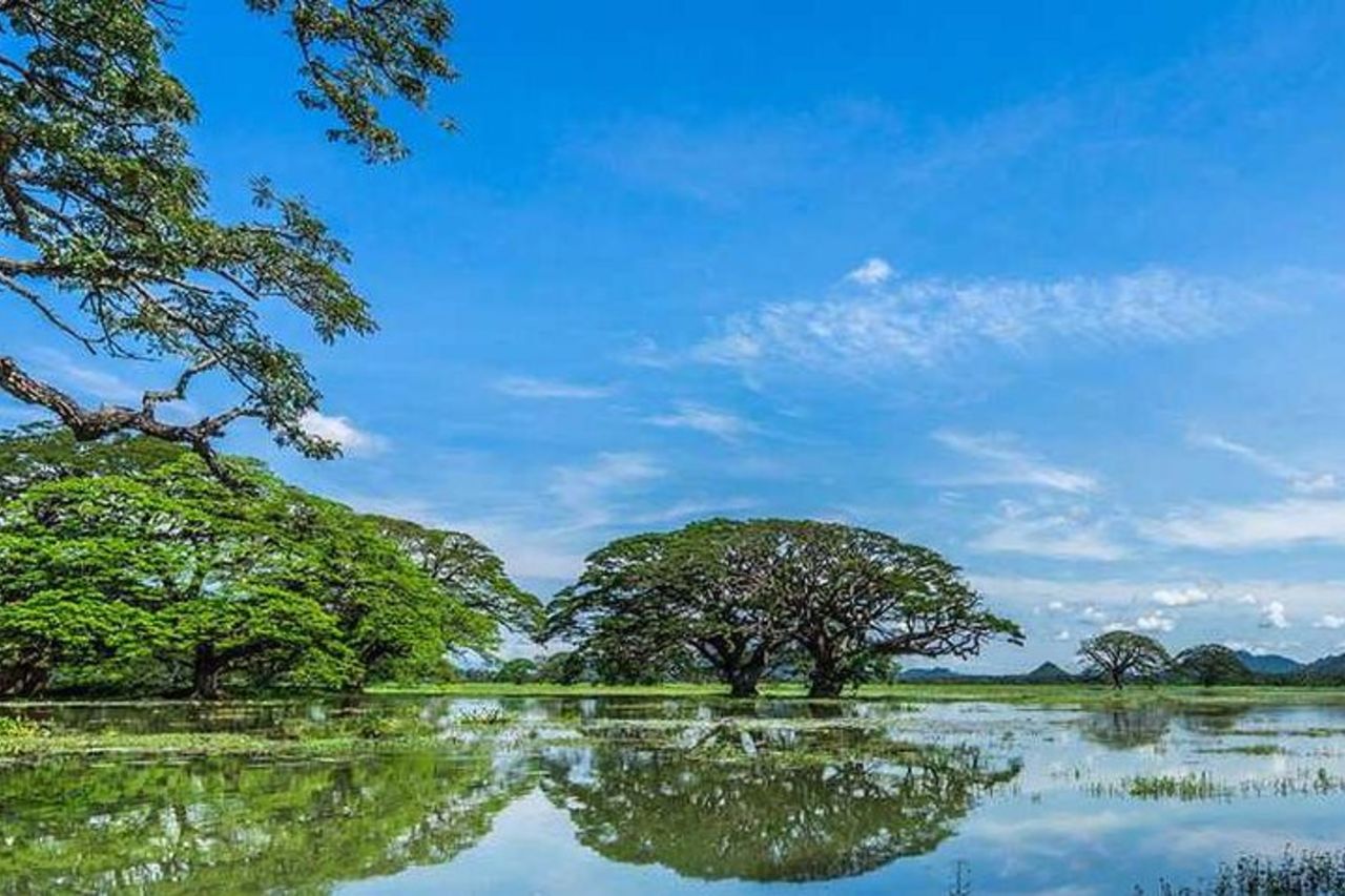 Forte dei Marmi To Ella — 2