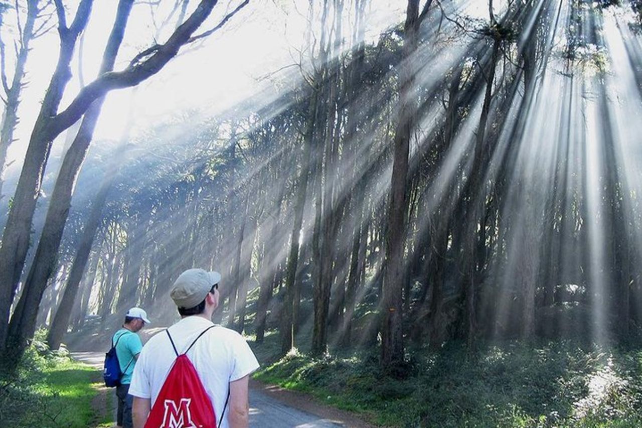 Escursione guidata privata nel Parco Nazionale di Sintra-Cascais, Lisbona