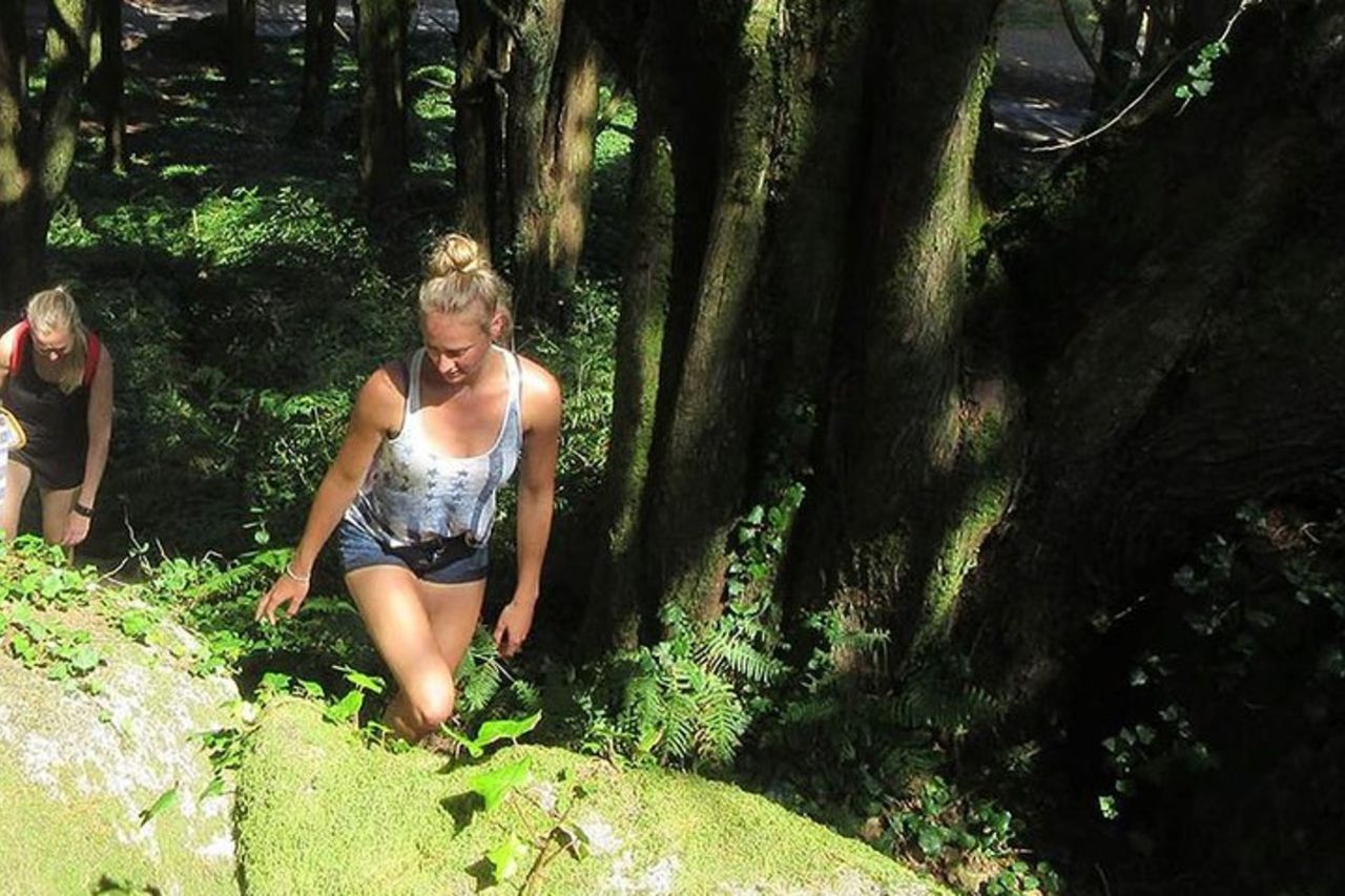 Escursione guidata privata nel Parco Nazionale di Sintra-Cascais, Lisbona — 5