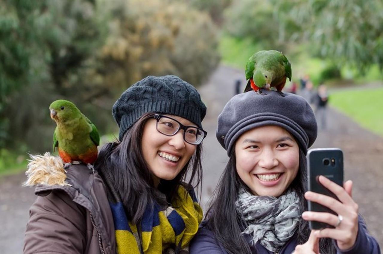 Great Ocean Road, 12 Apostoli, Gola di Loch Ard e pranzo - Melbourne — 8