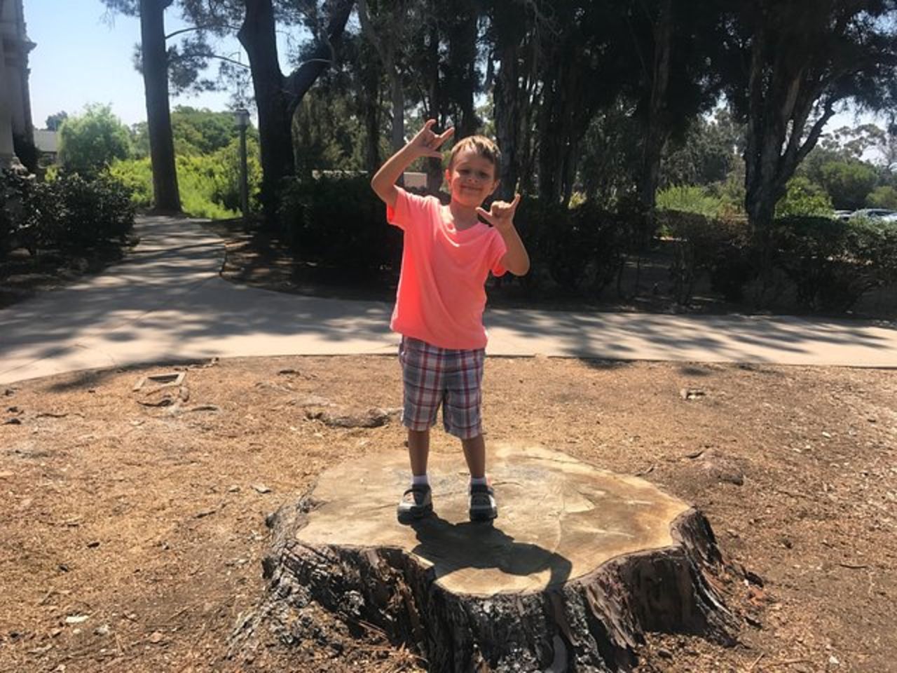 Il tour privato del Balboa Park — 9