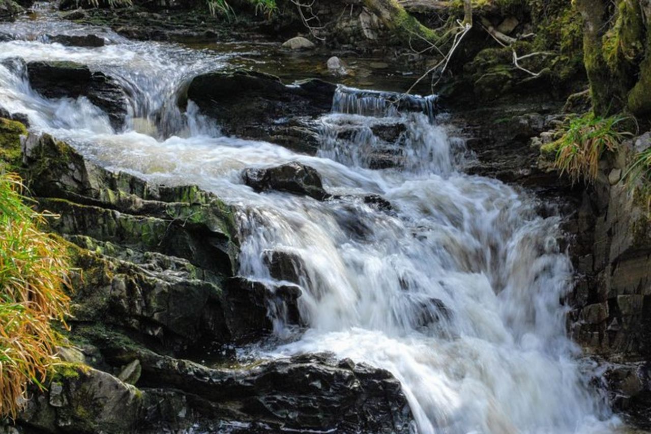 Tour alternativo di Loch Ness dagli altopiani segreti — 8