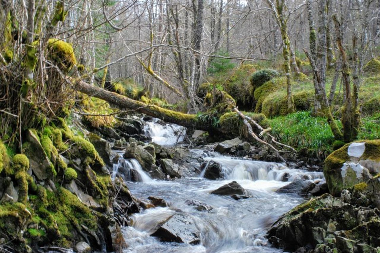 Tour alternativo di Loch Ness dagli altopiani segreti — 9