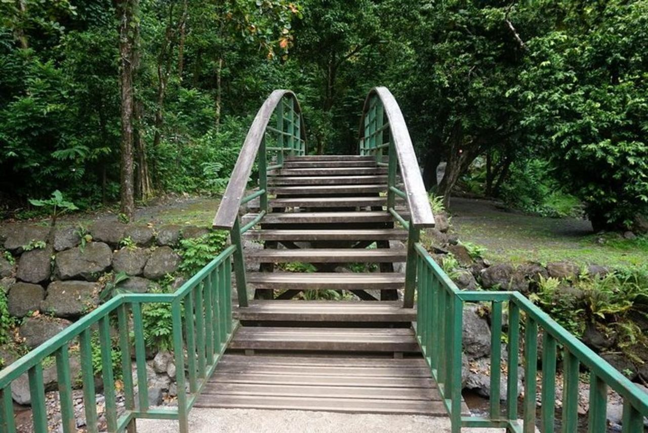 Isola privata di Tahiti Circle - Cascate, sabbia nera e viste — 6