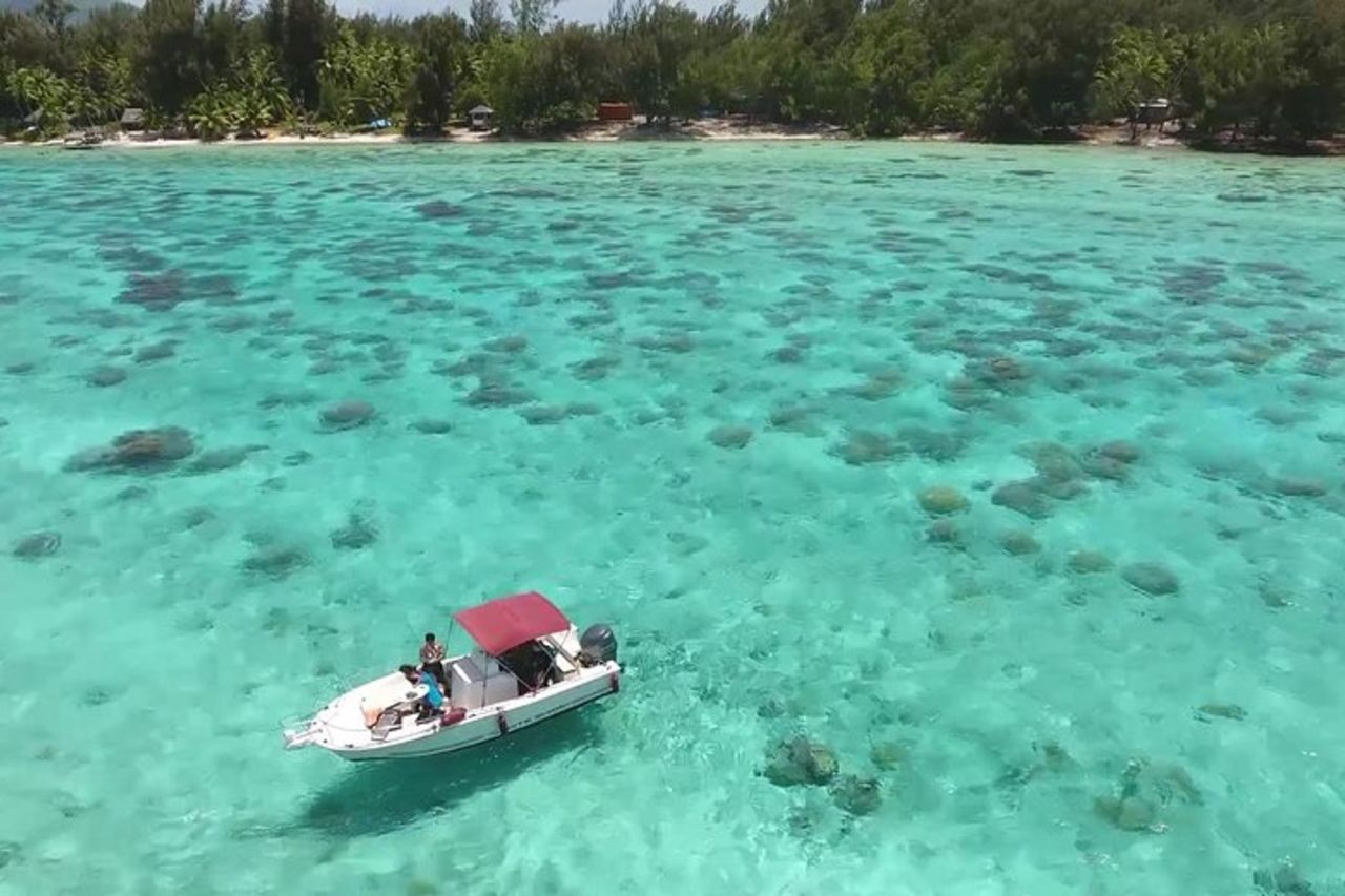 Esperienza privata sulla laguna di Bora Bora — 3