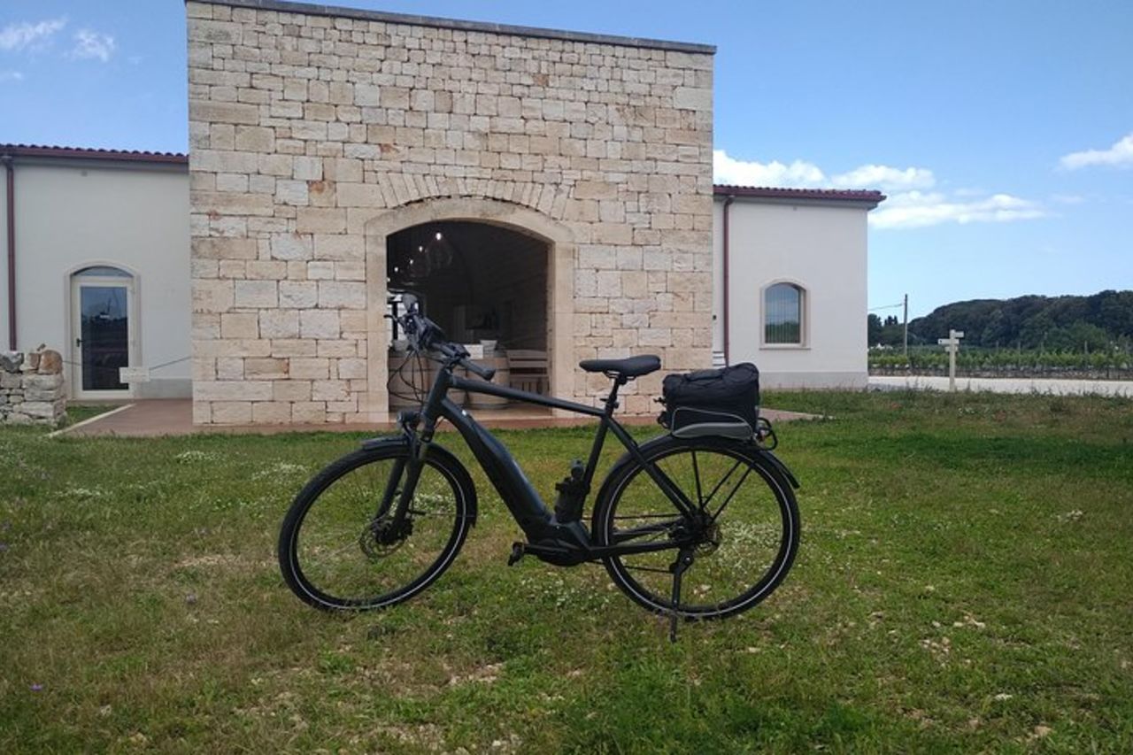 Tour in ebike: Alberobello e i vini della Valle d'Itria — 5