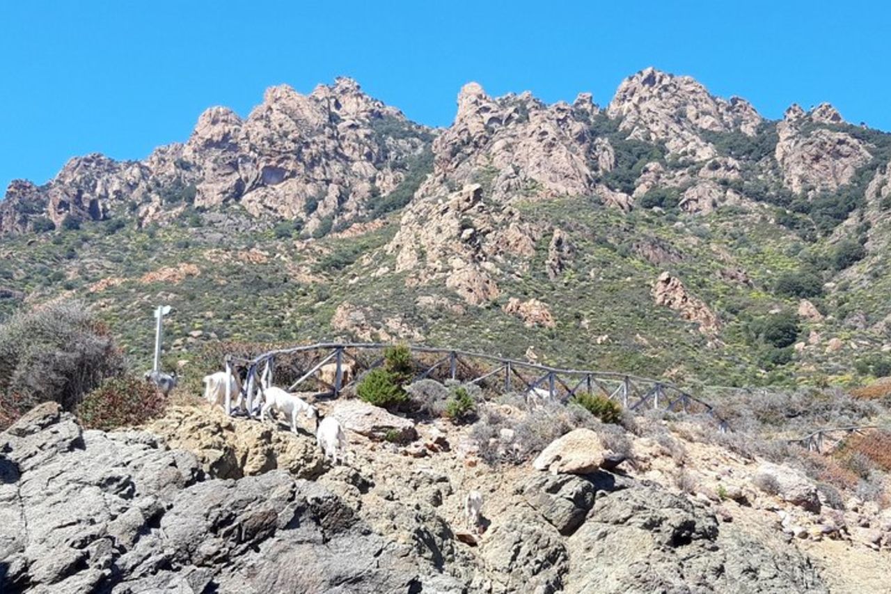 Escursione Sa perda stampada - Cartucceddu - Piscine Naturali — 7