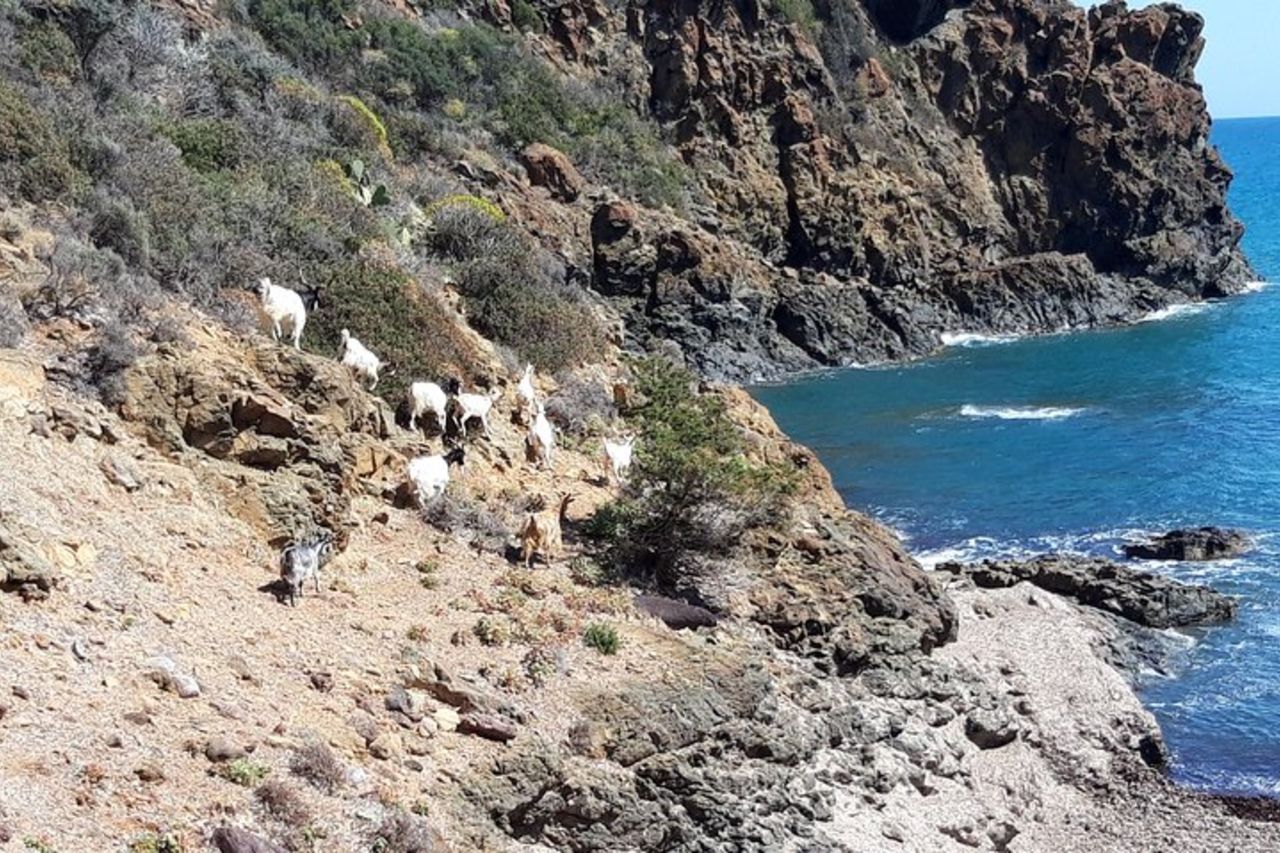Escursione Sa perda stampada - Cartucceddu - Piscine Naturali — 8