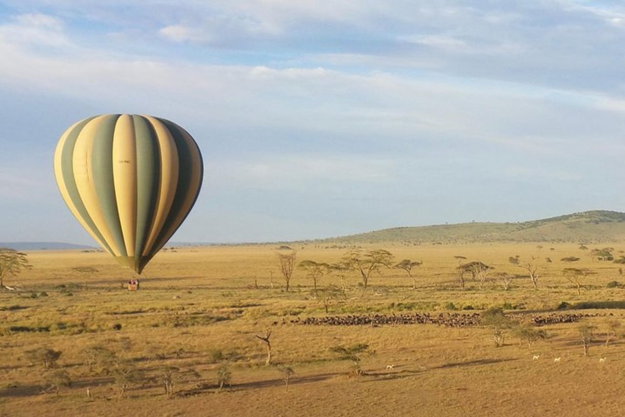 Serengeti Balloon Safari e autentica colazione nel bush
