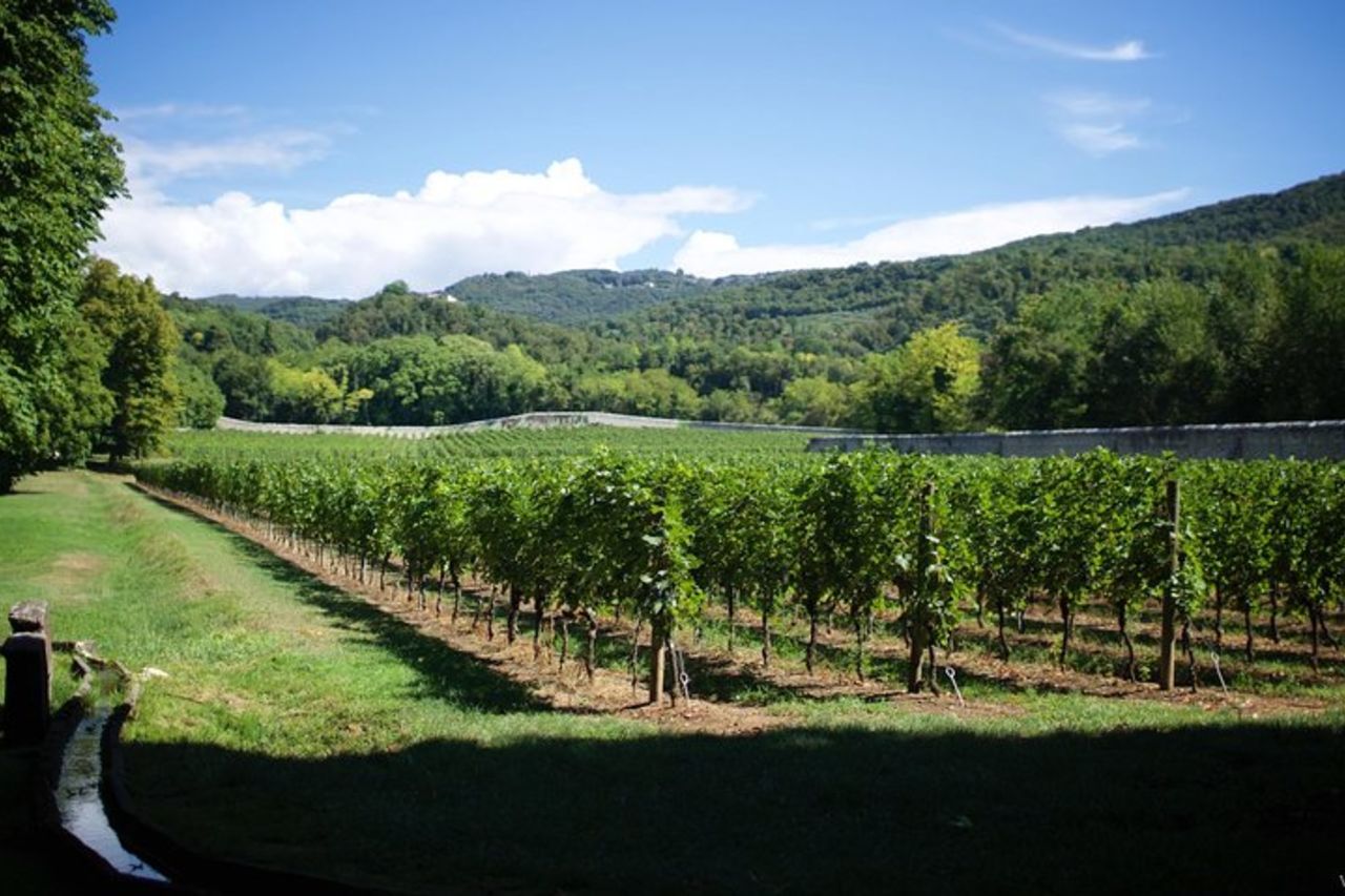 Visita guidata e degustazione del Castello dell'Amarone in Valpolicella — 7