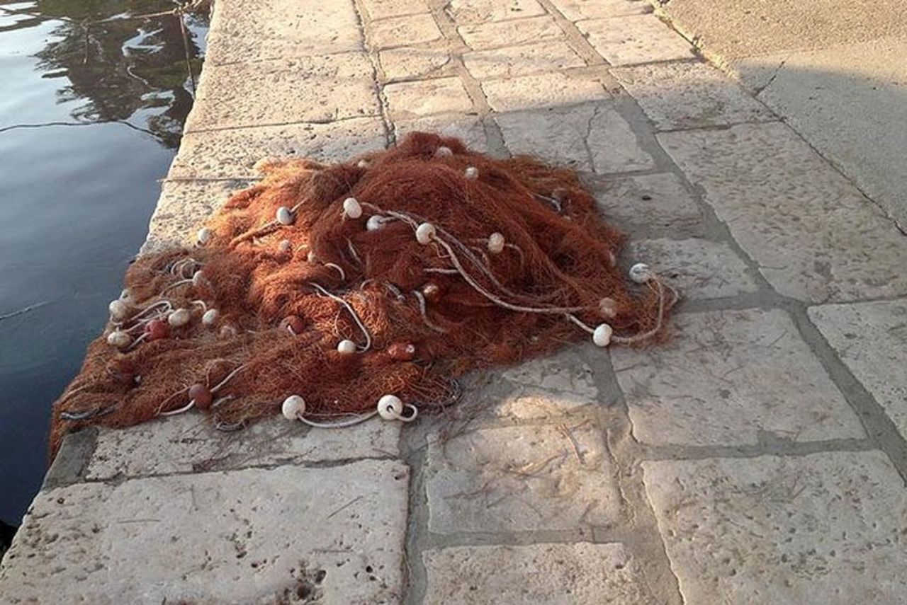 Crociera alle Isole Elafiti di Dubrovnik con pranzo, bevande e prelievo — 8