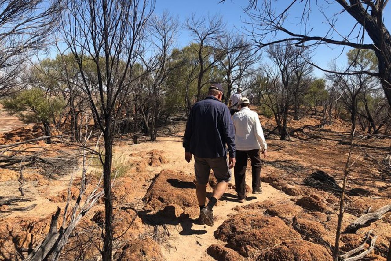 Tour di 3/4 giorni di Dinosaur Stampede da Winton — 3