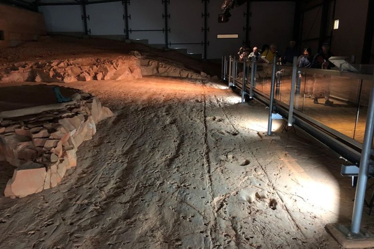 Tour di 3/4 giorni di Dinosaur Stampede da Winton — 4