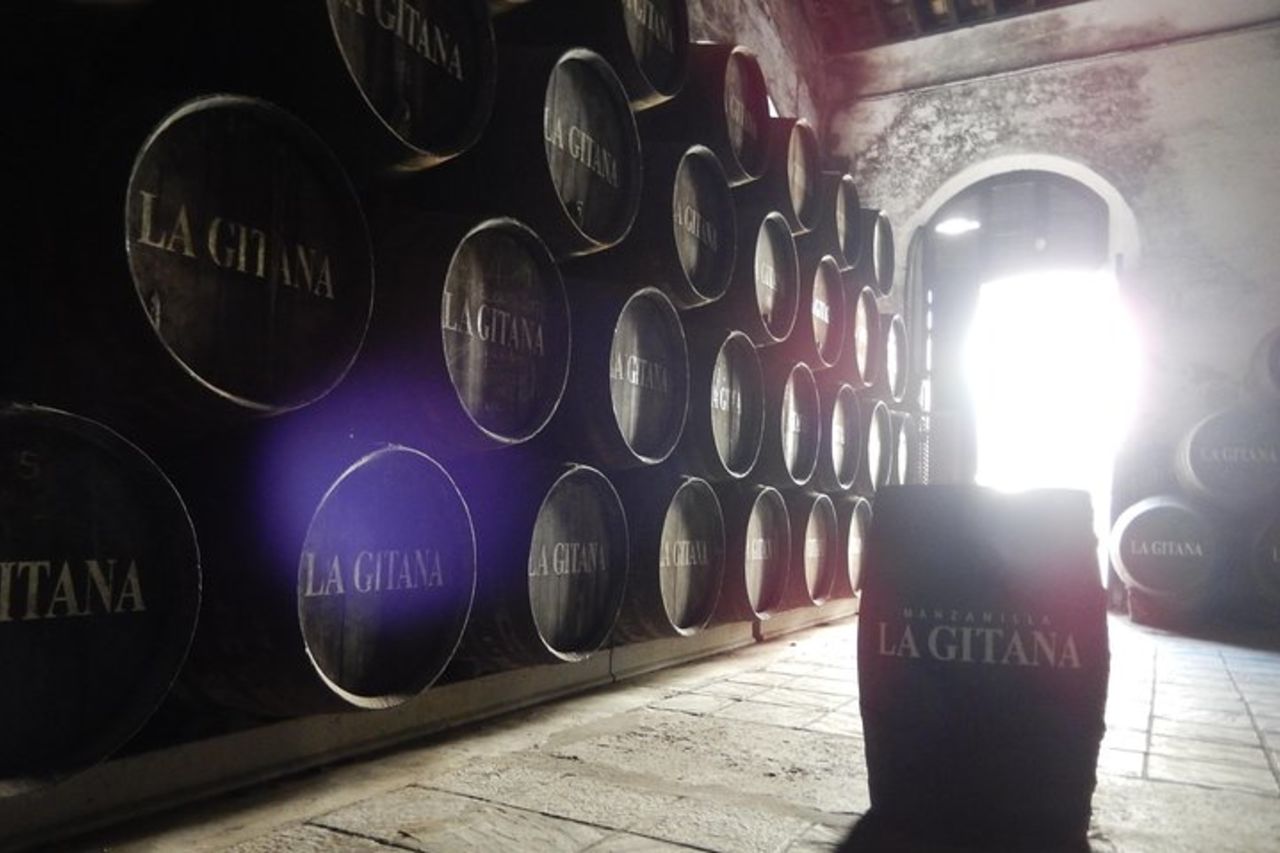 Ultimate Sherry Tour Da Vejer de la Frontera in inglese