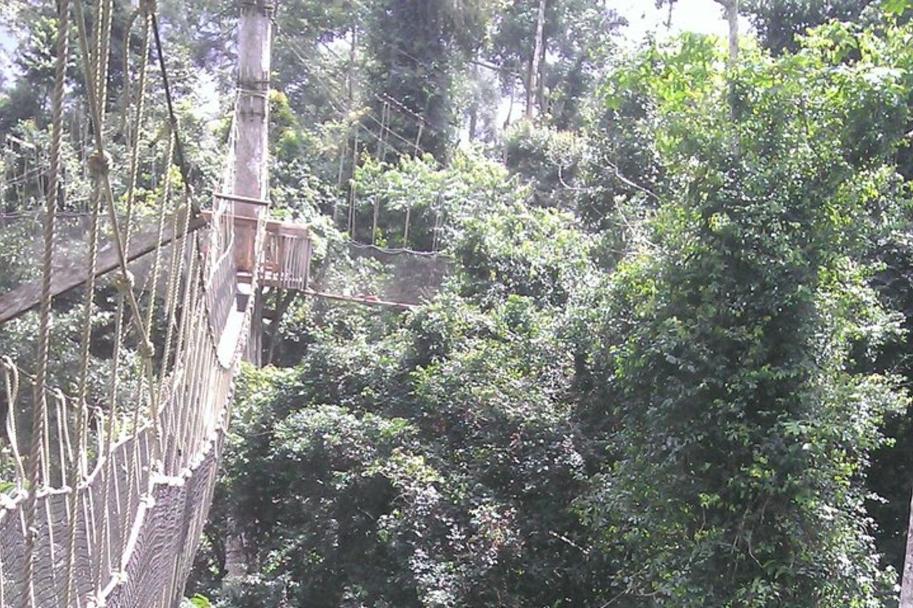 L'esperienza di ritorno a casa a Cape Coast ed Elmina. — 8