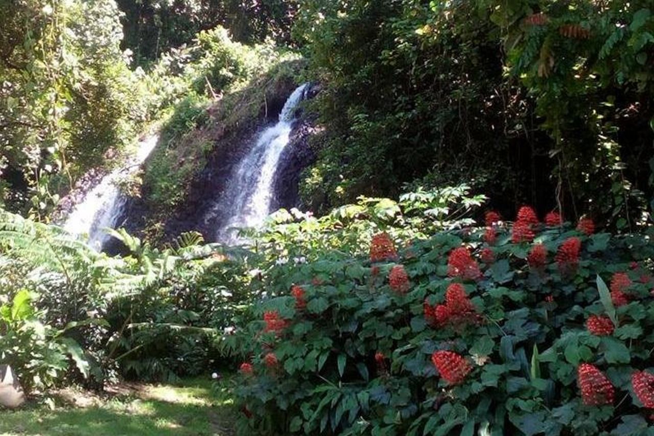 scoperta privata dell'isola di Tahiti — 4