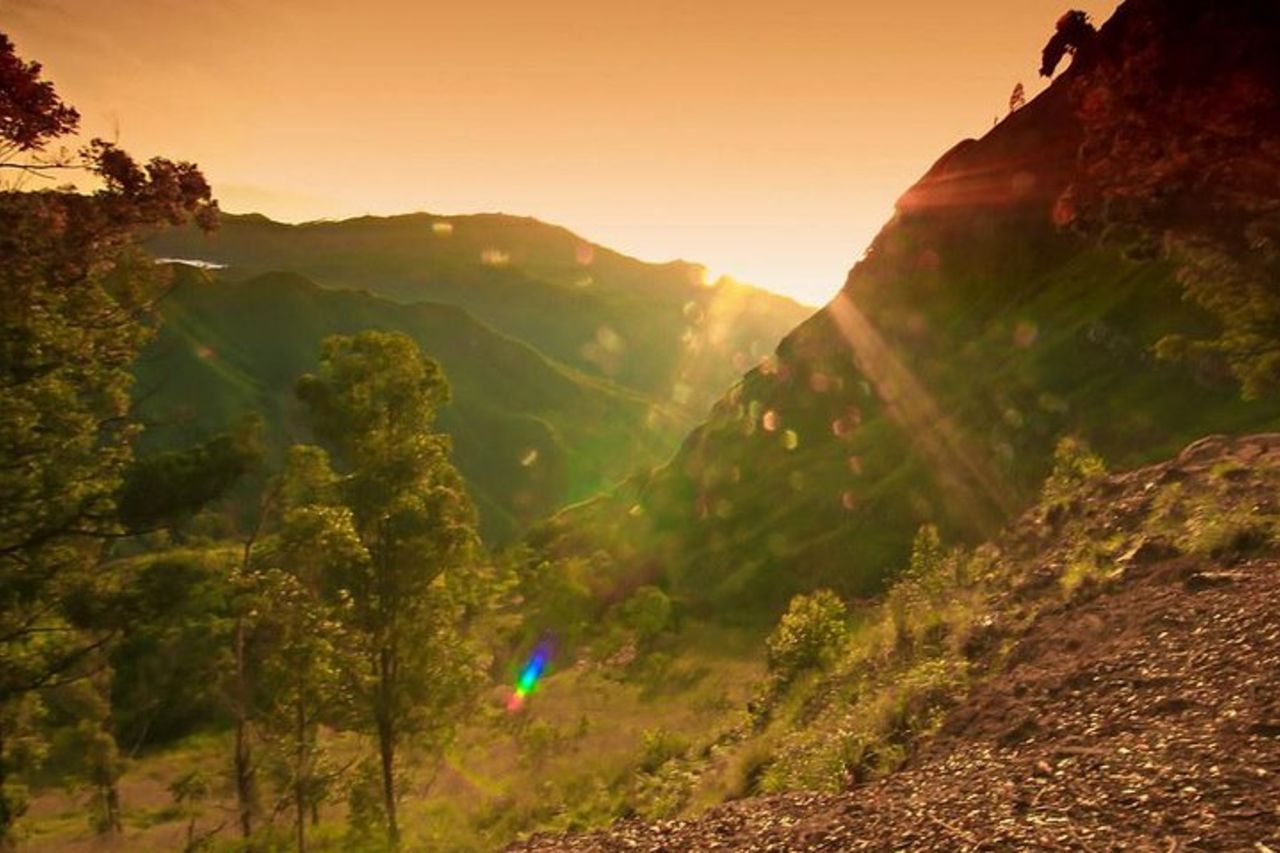 Da Ella:- Tour giornaliero all-inclusive di Ella 5 Icons — 6