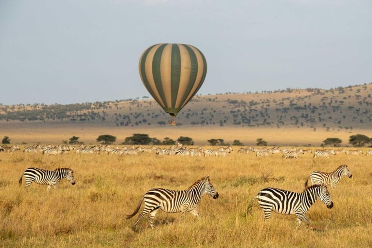 Serengeti Balloon Safari e autentica colazione nel bush — 8