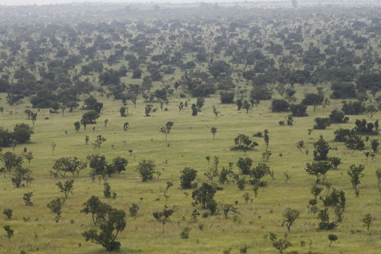 Scopri la natura a Shai Hills — 6