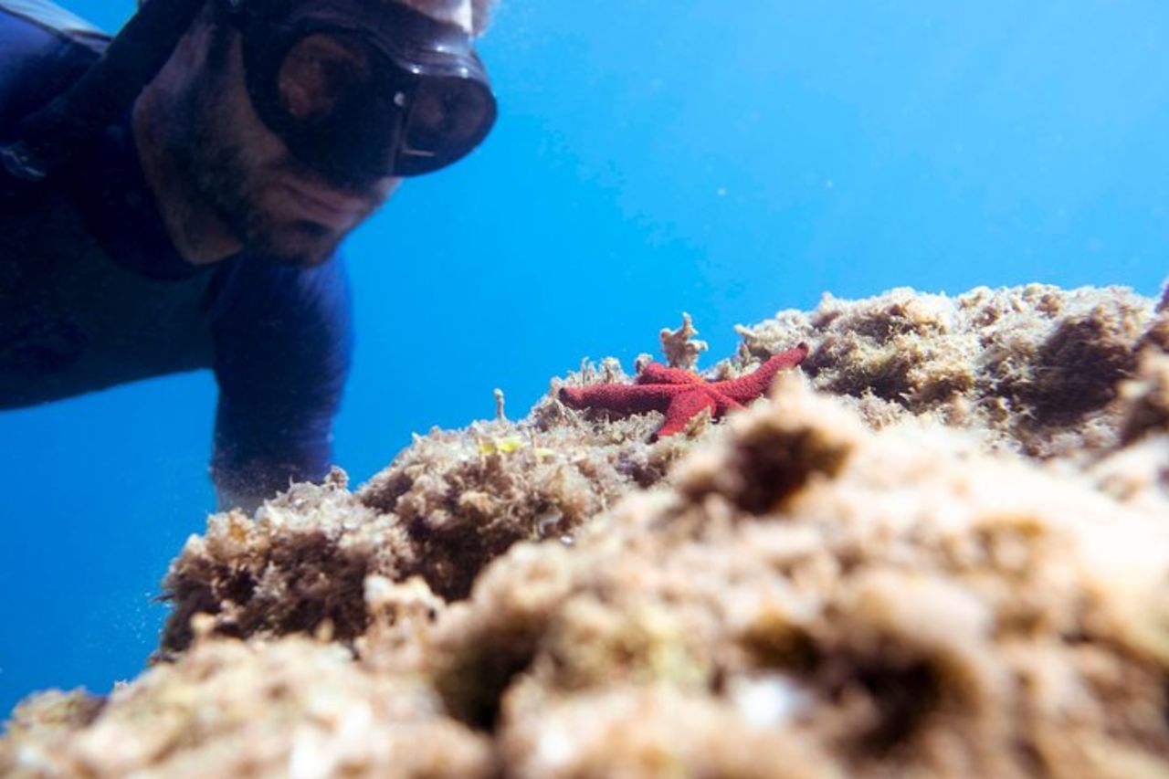 Snorkeling Tour nella baia di Paraggi — 3