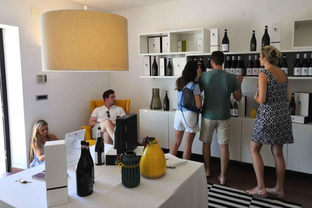 Degustazione di vini abruzzesi e visita in cantina — 4