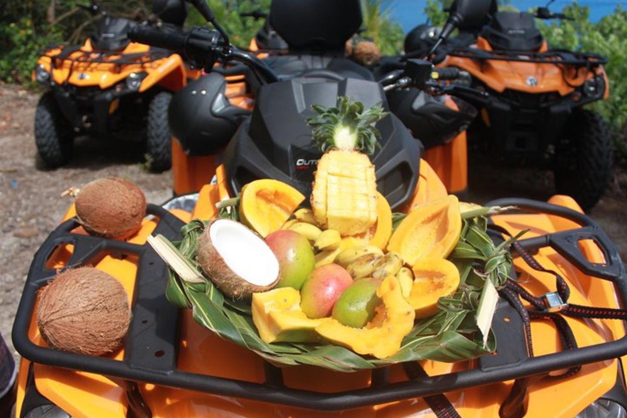 Giro dell'isola e fuga sulle montagne Bora Bora in Quad / ATV — 9