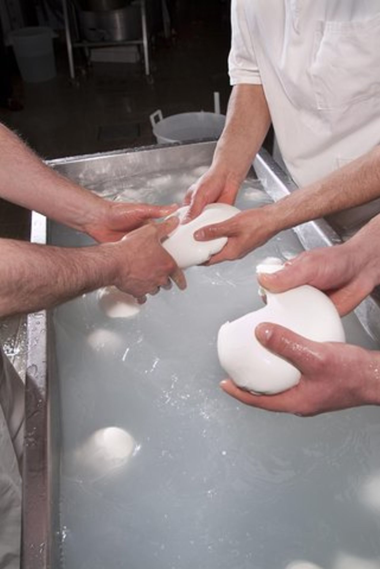 Esperienza Paestum e Mozzarella Farm — 8