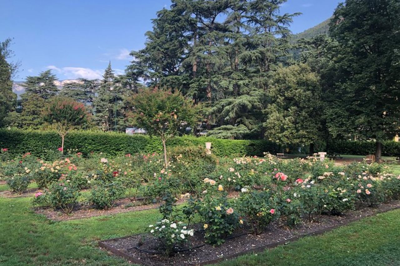 Bolzano di corsa — 6