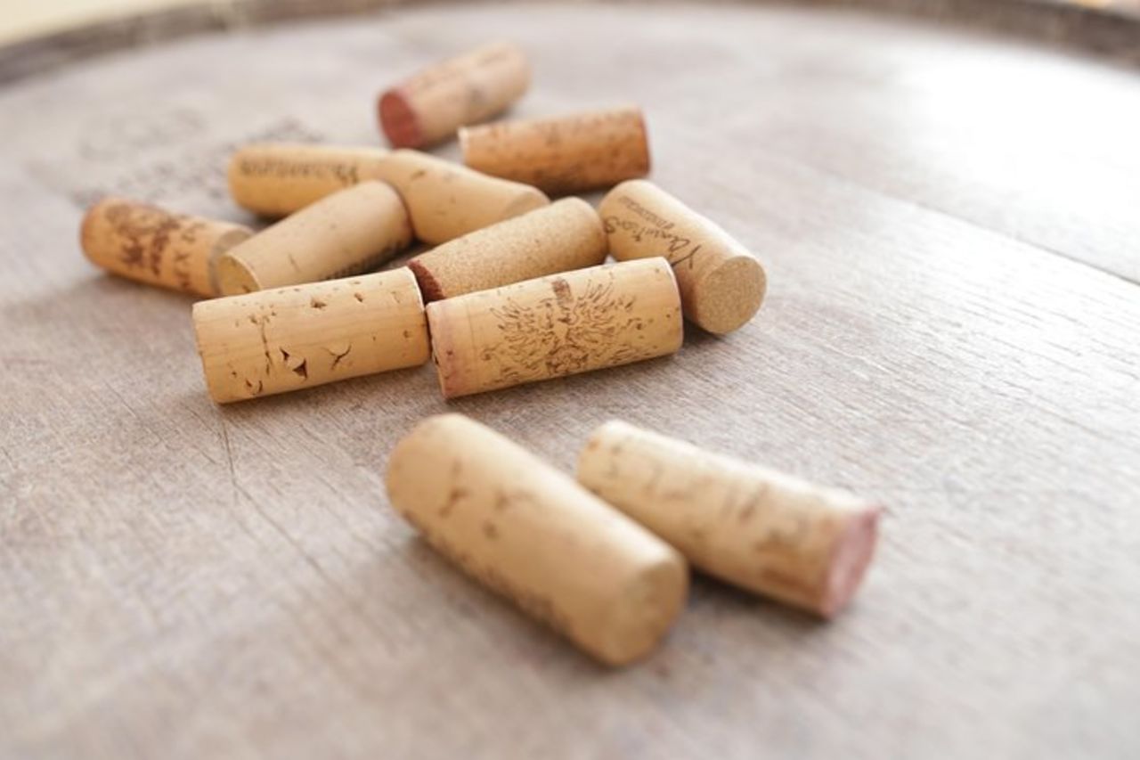 Degustazione di vini nel cuore di Sofia — 8