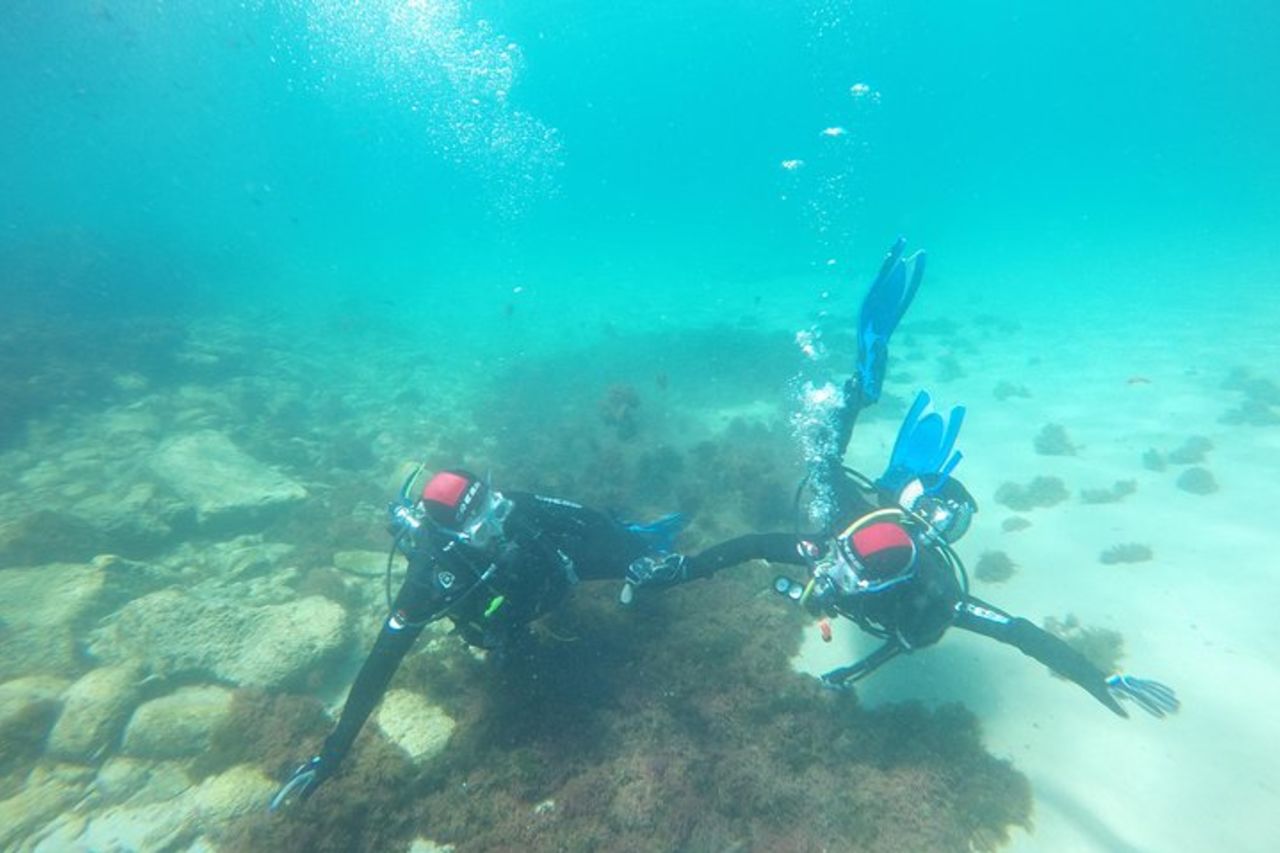 Battesimo di immersioni nel Parco Naturale dello Stretto — 3