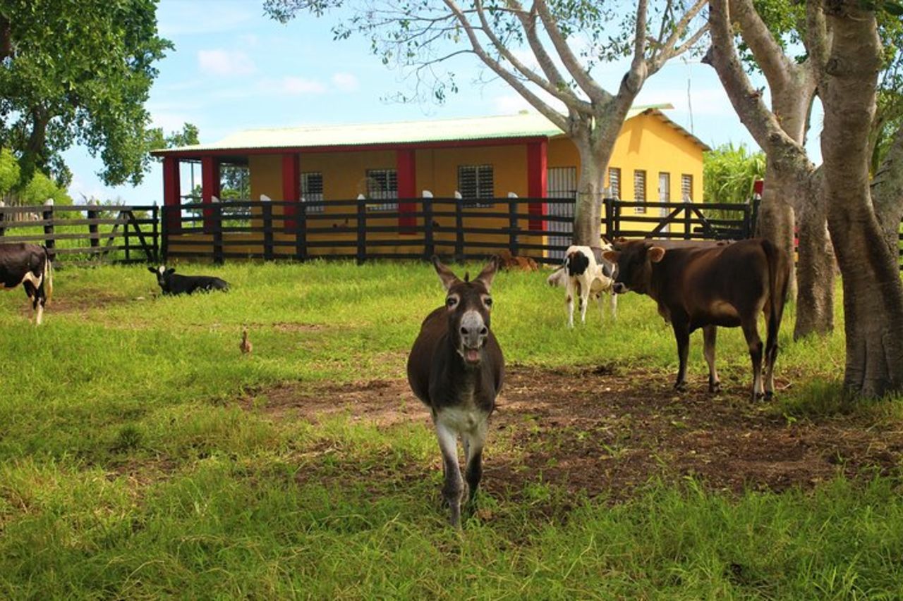 Avventura al parco tematico dei Flintstones da Punta Cana — 7