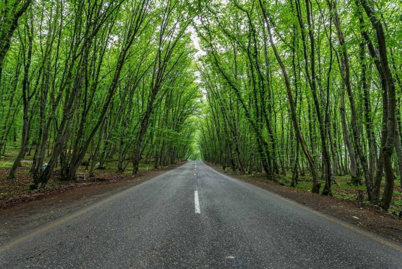 Guba, Candy Cane montagna, villaggio di Khinaliq con pranzo fatto in casa — 6