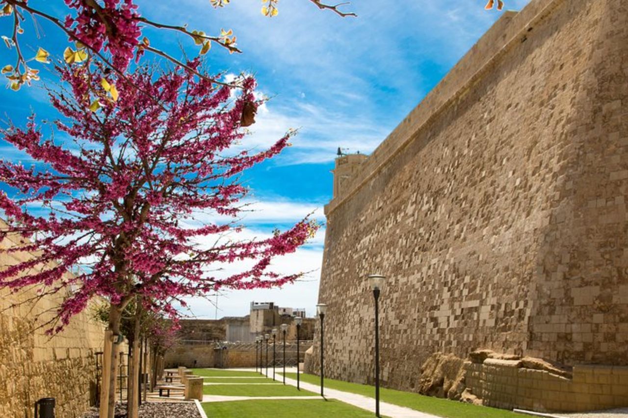 Gozo & Isole Comino, Laguna Blu & Tour delle Grotte Marine — 8