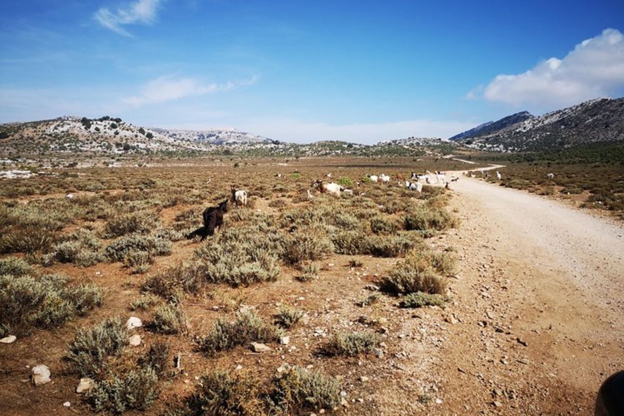 Tour in fuoristrada nel Supramonte e visita a Pischina Gurthàddala — 3