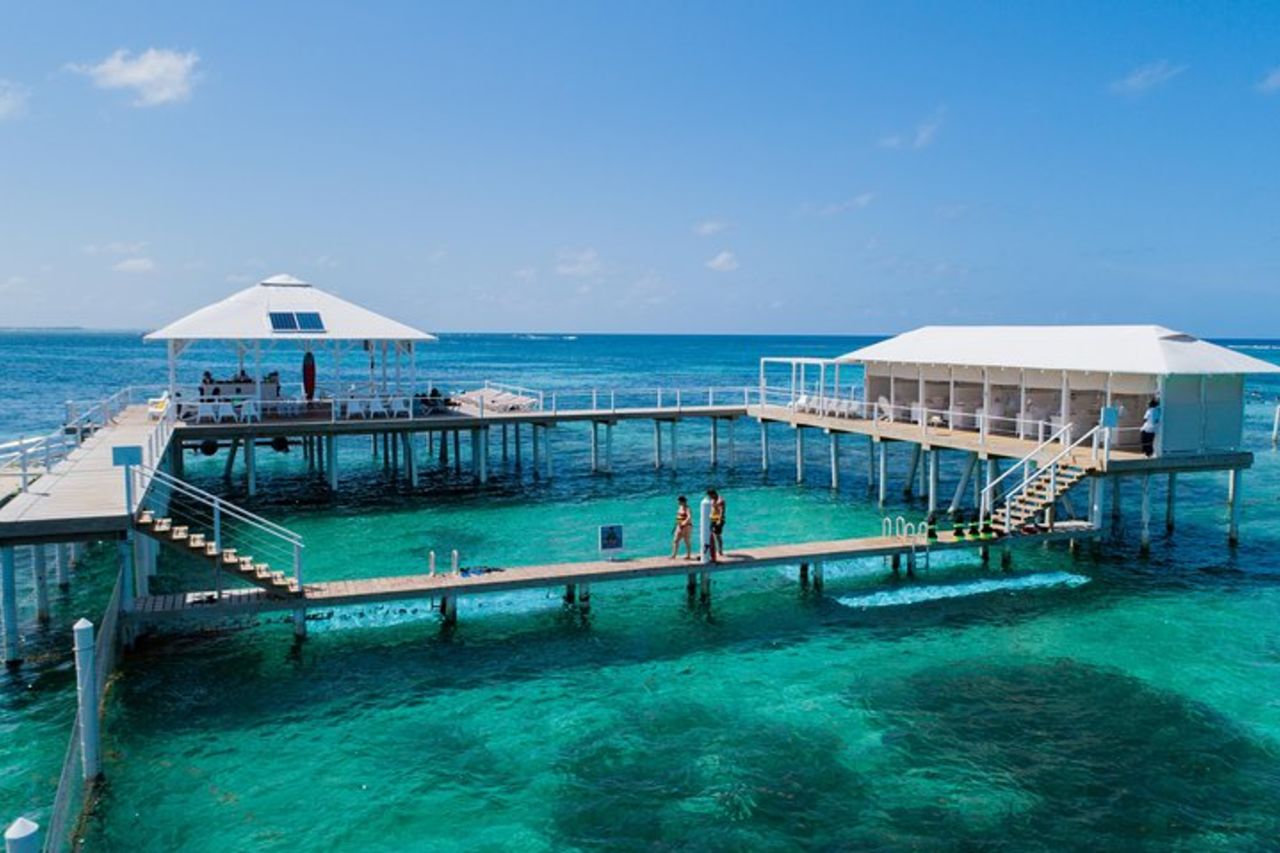 Reef Explorer Escursione multipla da Punta Cana di Marinarium