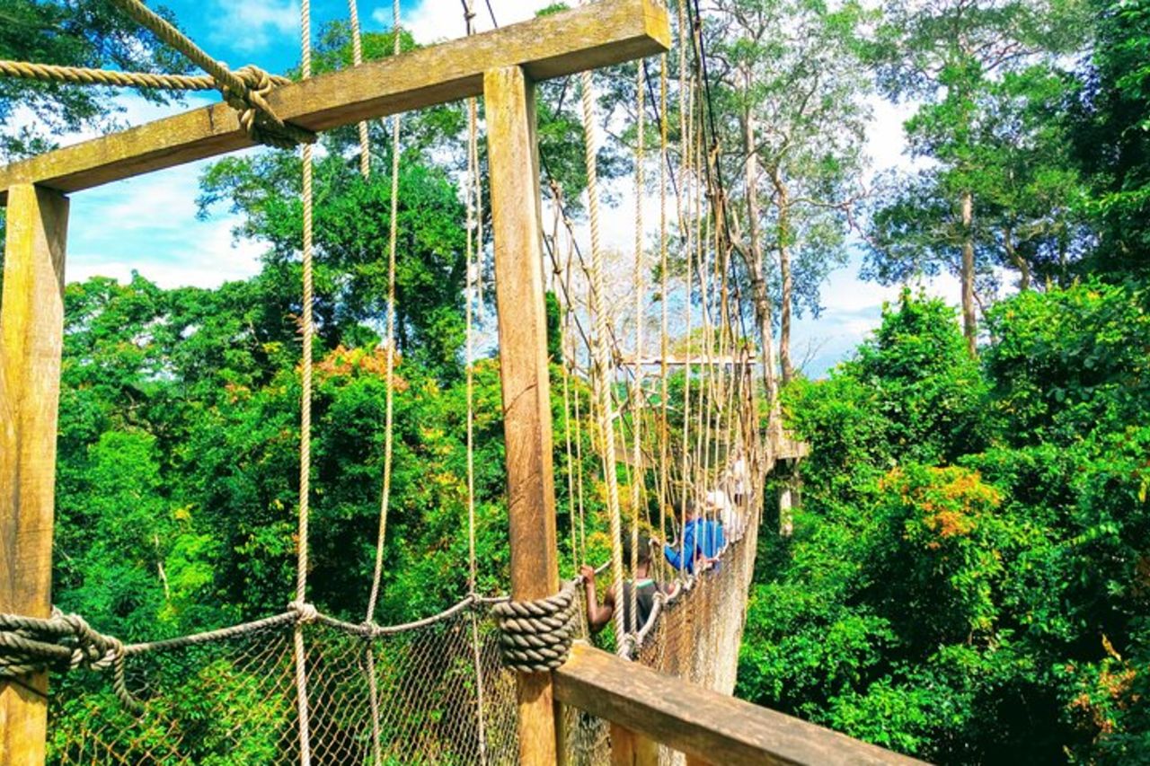 Il tour della Cape Coast — 8