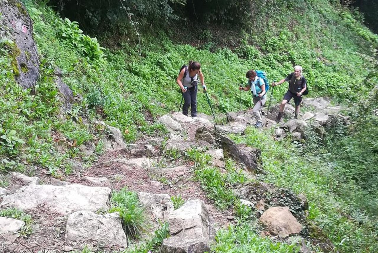 Il Sentiero del Viandante: da LIERNA a VARENNA — 7