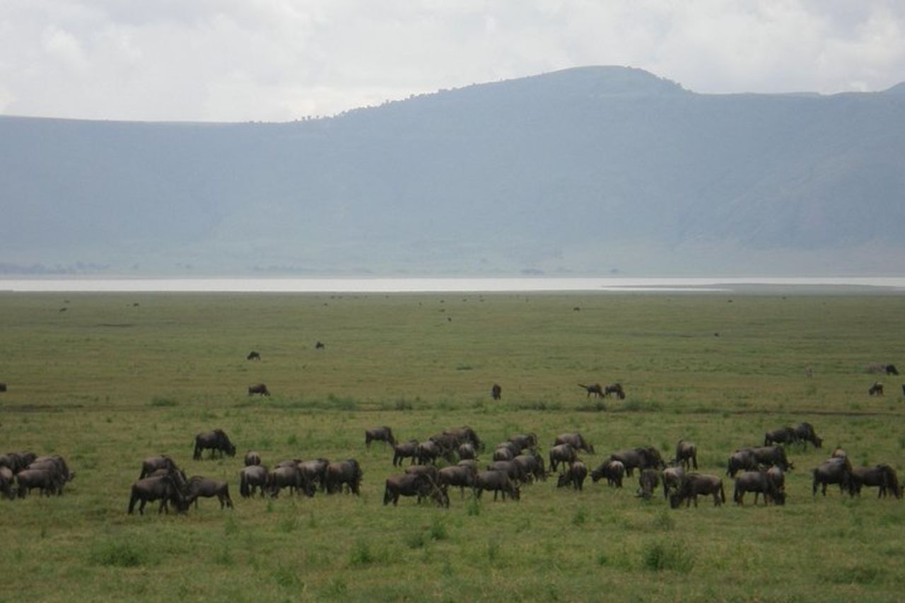 Lago Manyara di 3 giorni, cratere di Ngorogoro, Parco Nazionale del Tarangire — 2