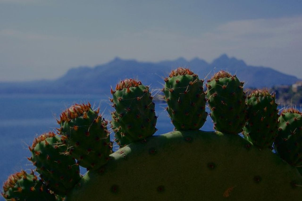 TOUR PRIVATO da Catania ad Agrigento (Valle dei Templi) e Piazza Armerina — 4