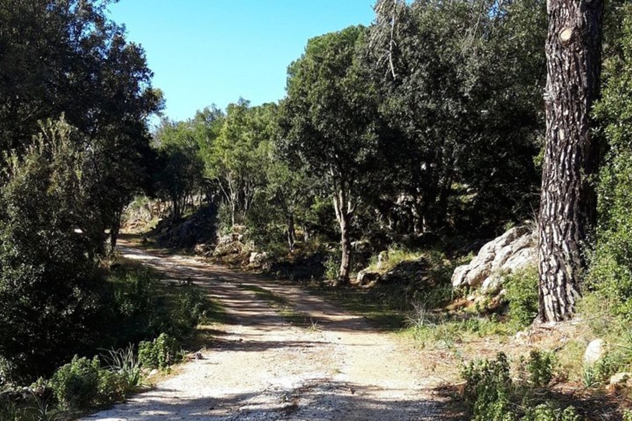 Escursione ai Tacchi di Osini - Tour dei Nuraghi — 5