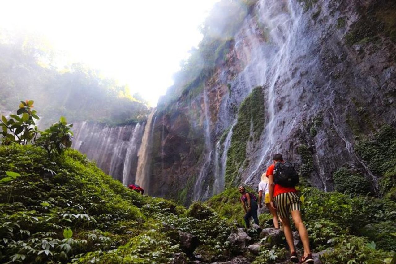 1 giorno - Cascata di Tumpak Sewu e trekking nella grotta di Goa Tetes