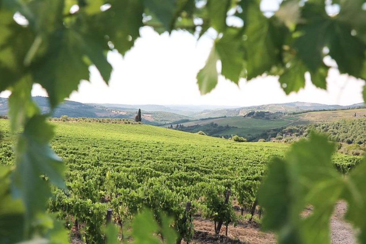 Chianti Wine Tour da Firenze — 2