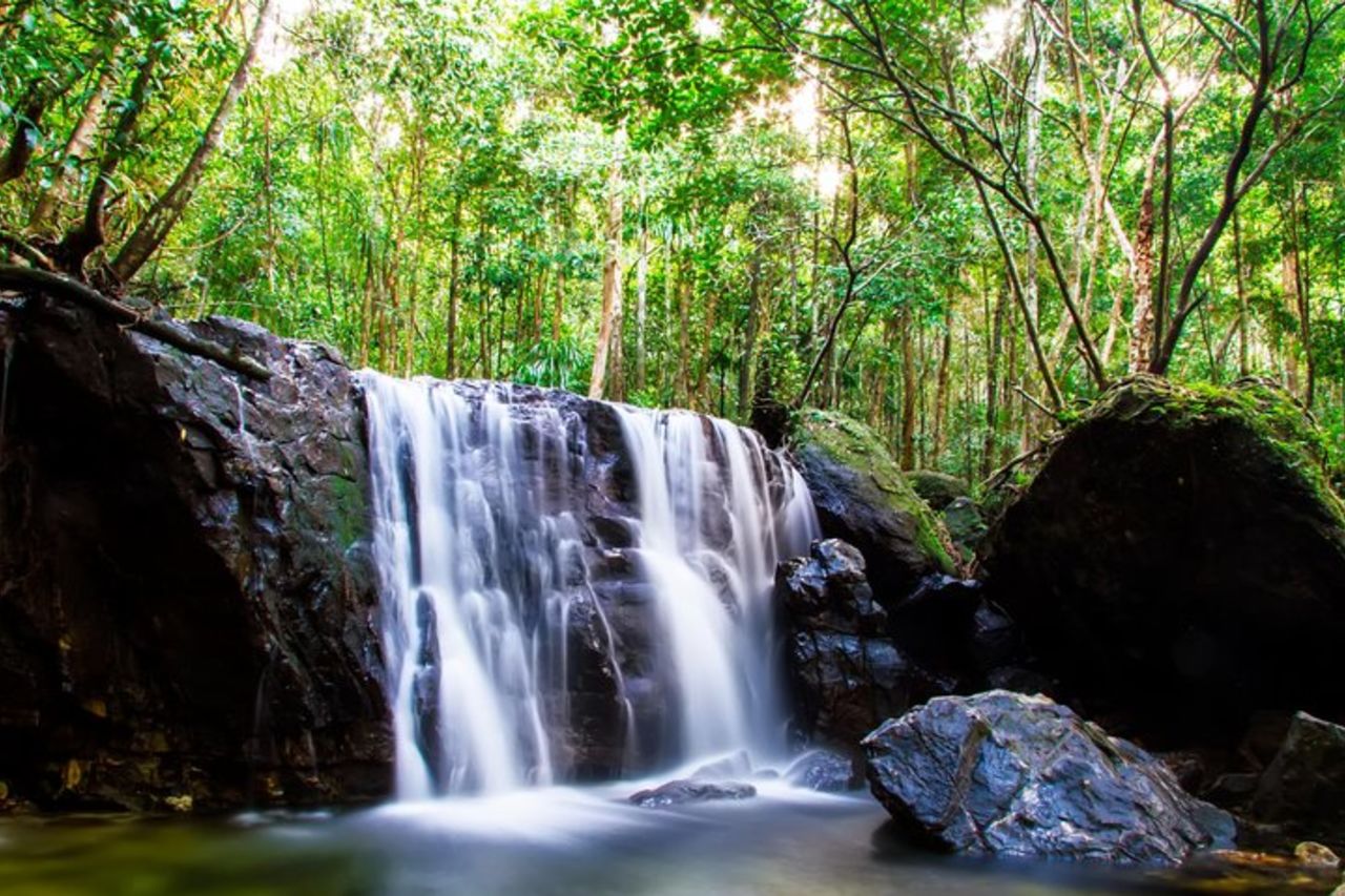 Phu Quoc Scopri South And North Together_Private tour — 7